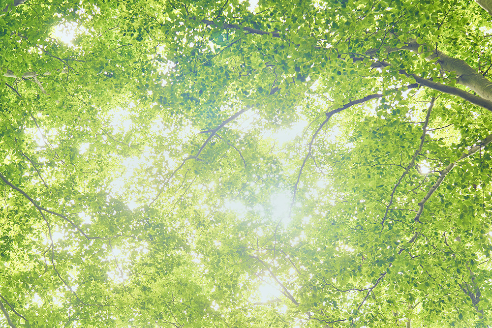 なぜ、マインドフルネスが再発予防に役に立つのか?