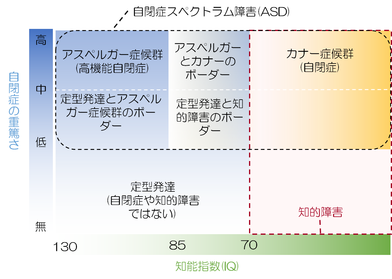 Adhd asd 併発