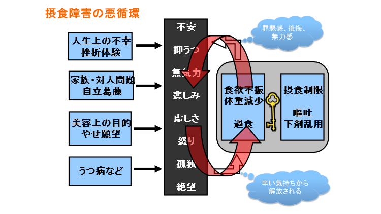 摂食障害の心の中では何か起きているのか 疾患について 名古屋市瑞穂区の心療内科 精神科あらたまこころのクリニック